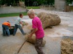 Bild: Kunstprojekt auf dem Freiburger Mundenhof